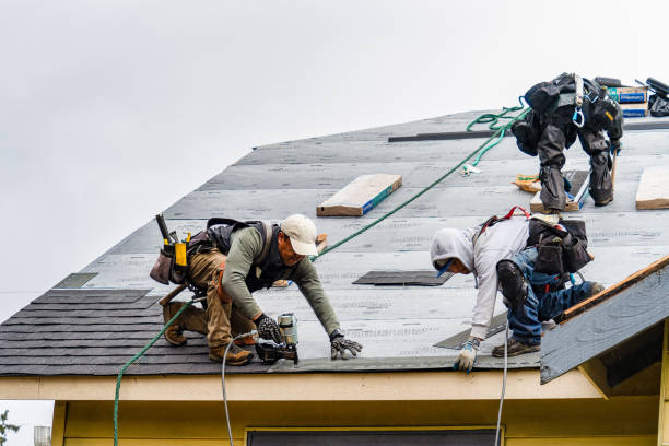 Professional Flat Roof Repair technician working in Gridley, IL